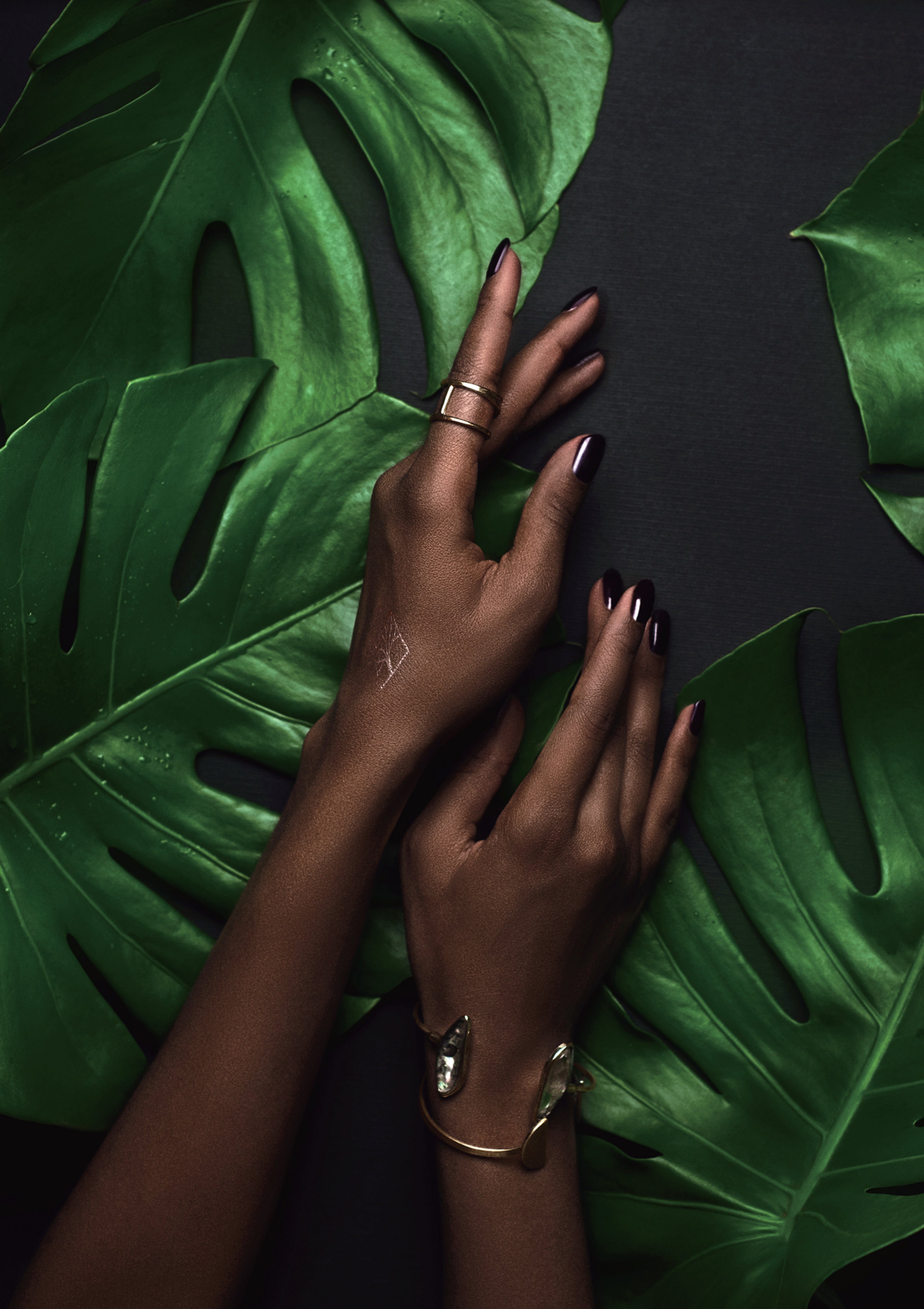 Hender som hviler over grønne palmeblad. Stemningsbilde til Eterra baderomsmøbel fra Brandt Bad.