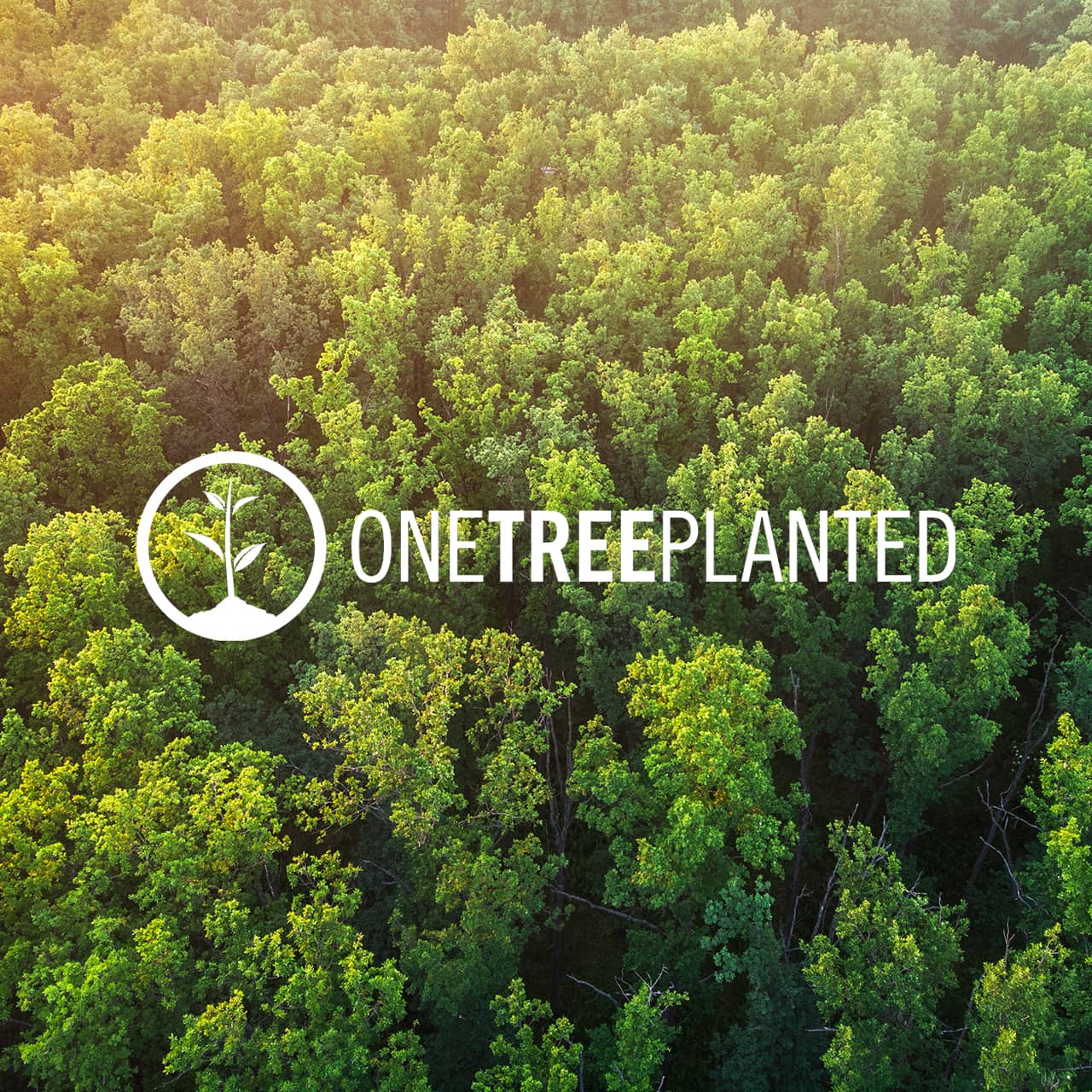 One Tree Planted Logo Over Forest.