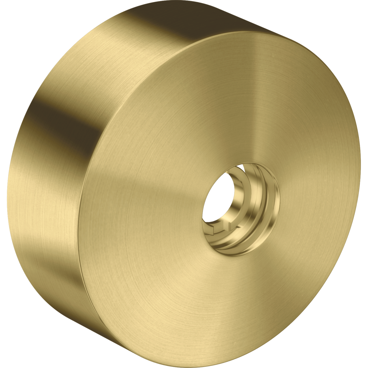 AXOR One Extension Element from Brandt in Brushed Brass finish